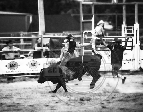 Rodeo Rider